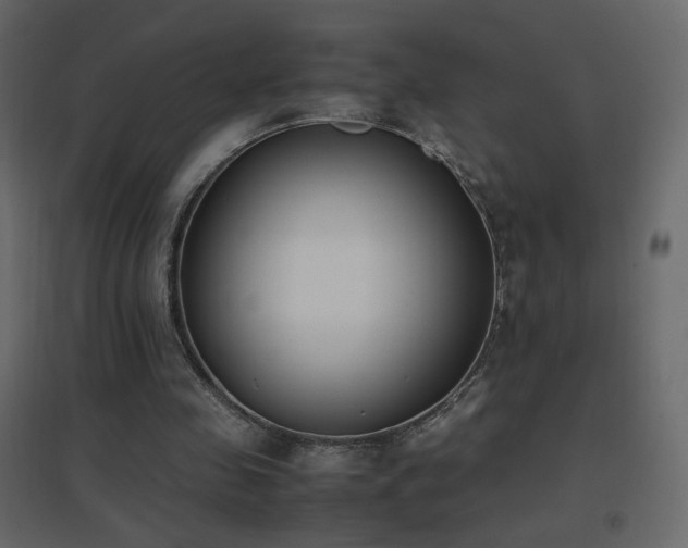 X0000096650341200802051200
