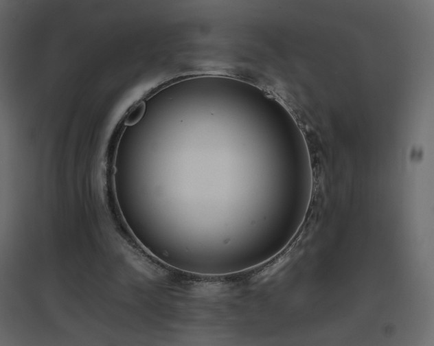 X0000096650342200802051200