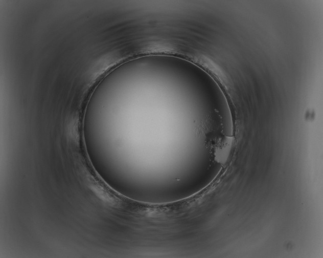X0000096650345200802051200