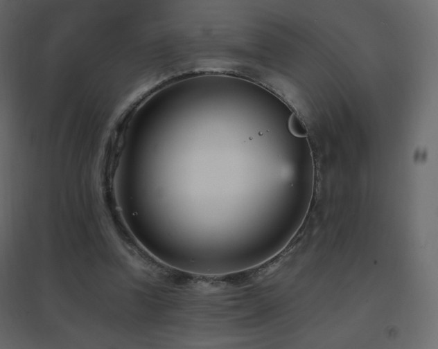 X0000096650346200802051200