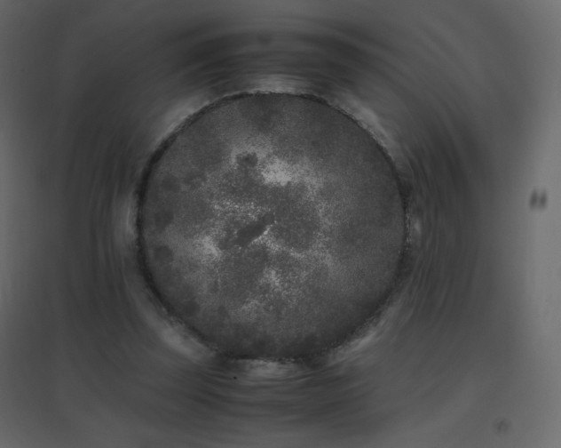 X0000096650347200802051200