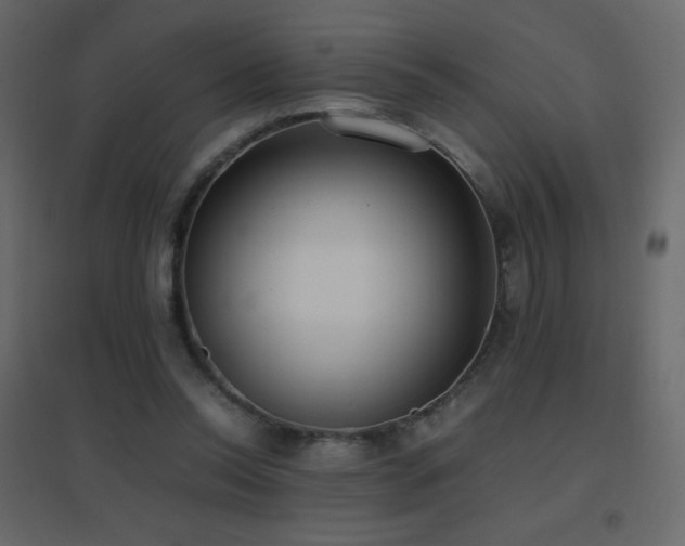X0000096650350200802051200