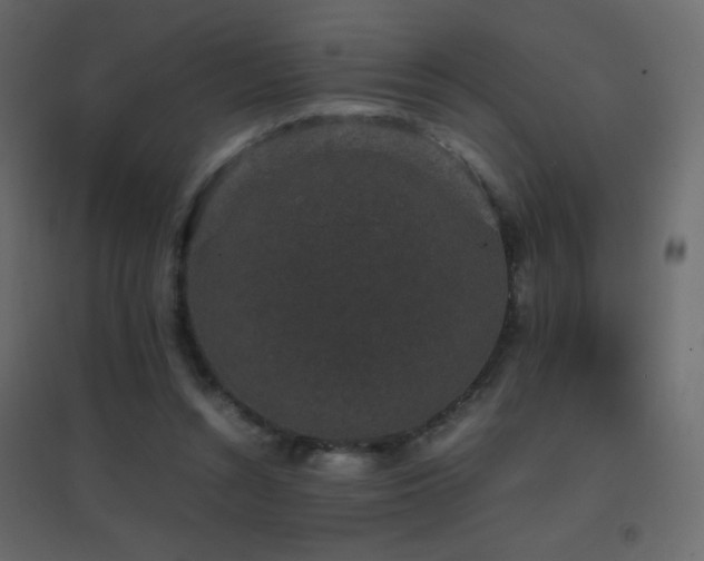 X0000096650352200802051200