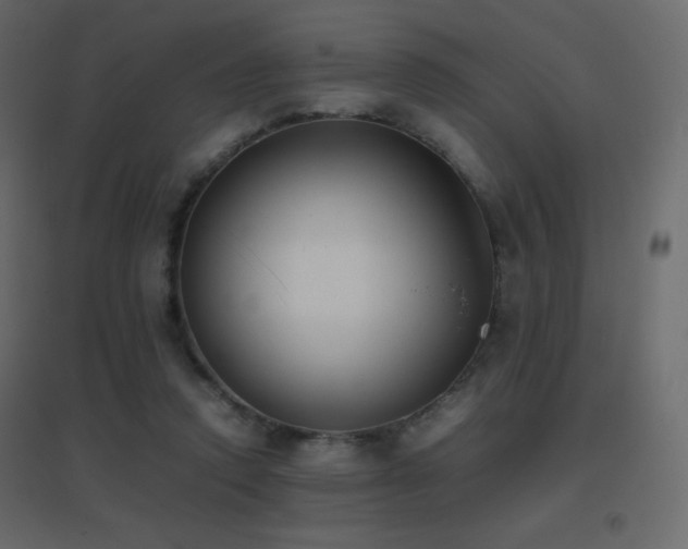 X0000096650354200802051200