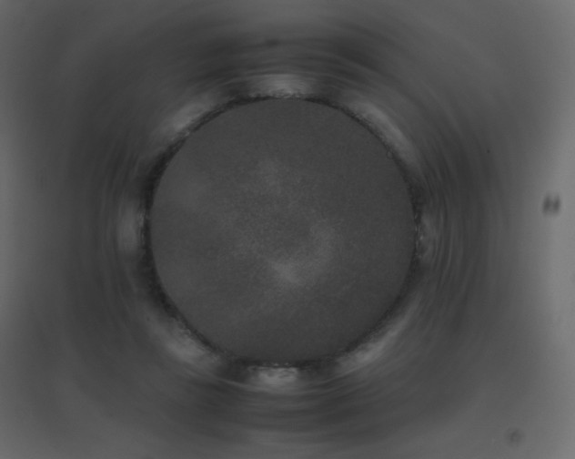 X0000096650355200802051200