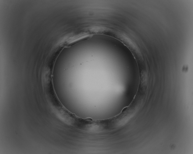 X0000096650356200802051200