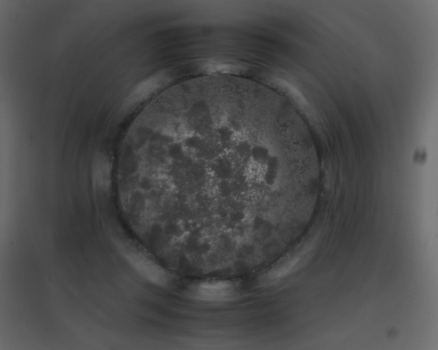 X0000096650357200802051200