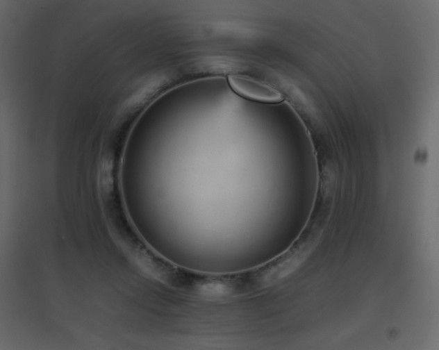 X0000096650358200802051200