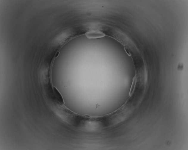 X0000096650360200802051200