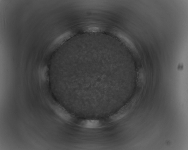 X0000096650361200802051200