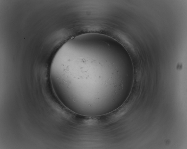 X0000096650362200802051200