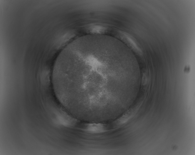X0000096650363200802051200