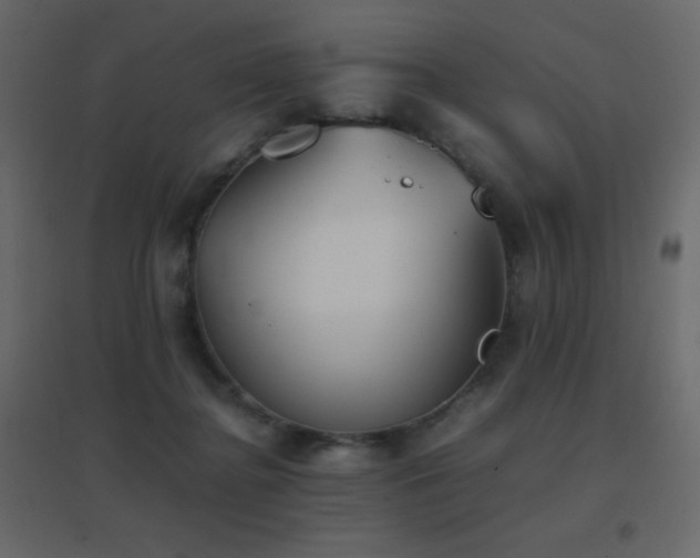 X0000096650364200802051200