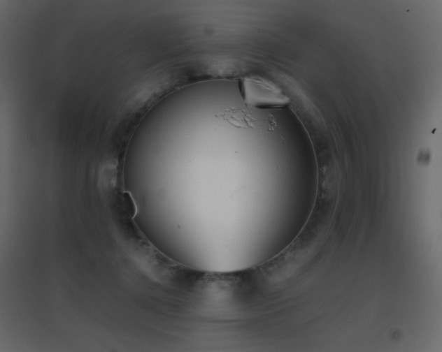 X0000096650368200802051200