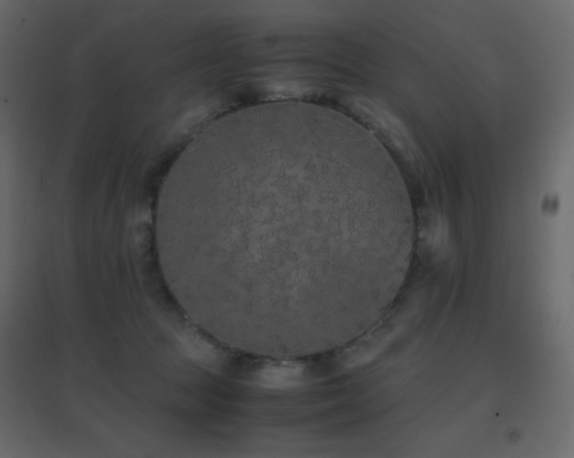 X0000096650369200802051200