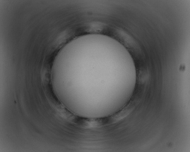 X0000096650370200802051200