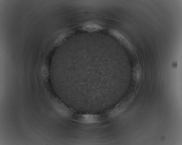 X0000096650371200802051200