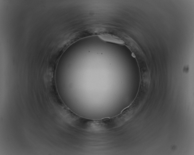 X0000096650372200802051200