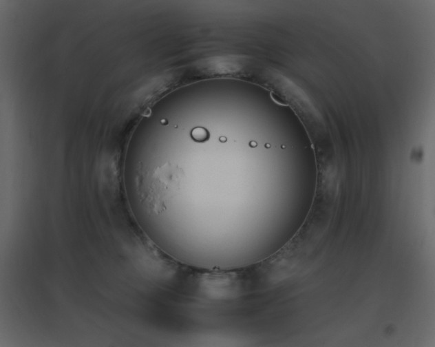 X0000096650373200802051200