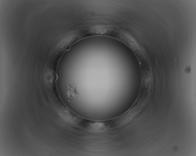 X0000096650374200802051200