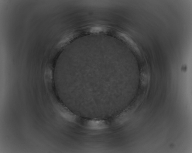 X0000096650375200802051200