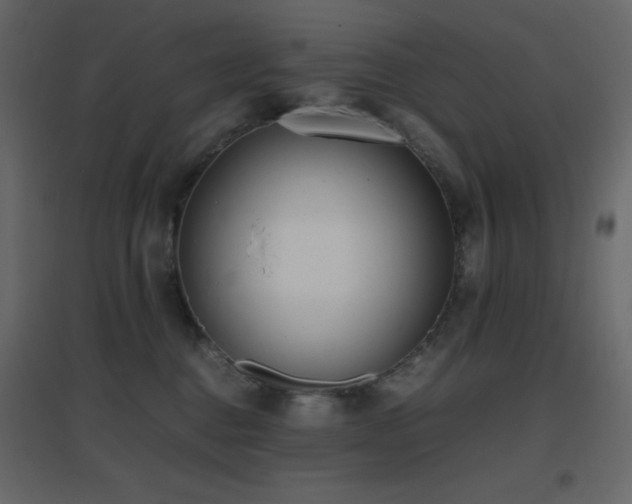 X0000096650376200802051200