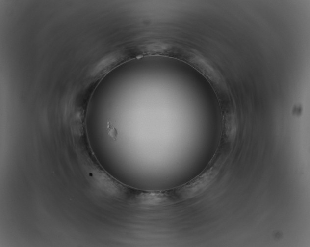 X0000096650378200802051201