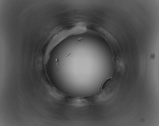 X0000096650379200802051201