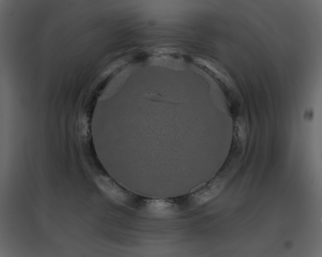 X0000096650380200802051201