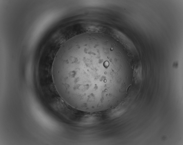 X0000096650381200802051201