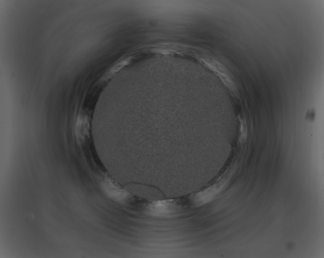 X0000096650382200802051201