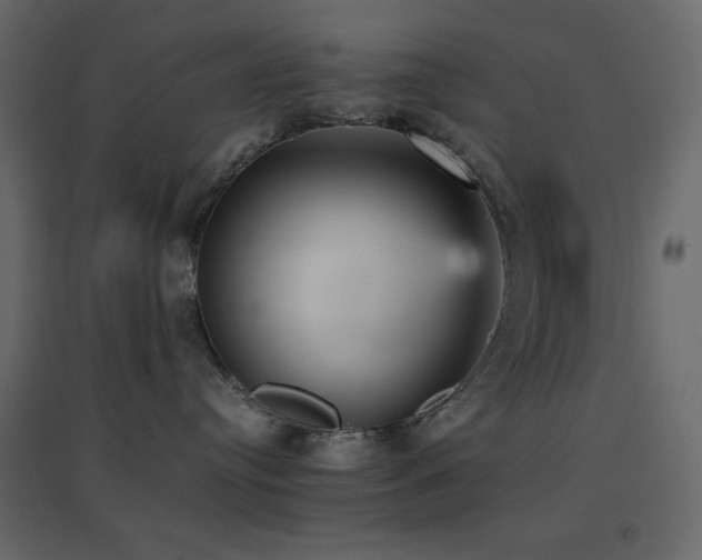 X0000096650384200802051201