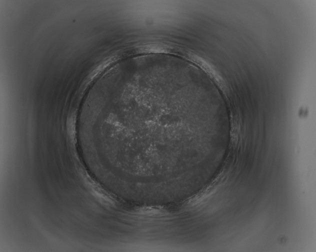 X0000096650386200802051200