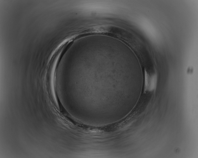 X0000096650387200802051200