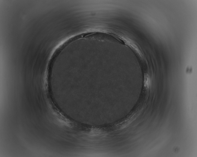 X0000096650388200802051200