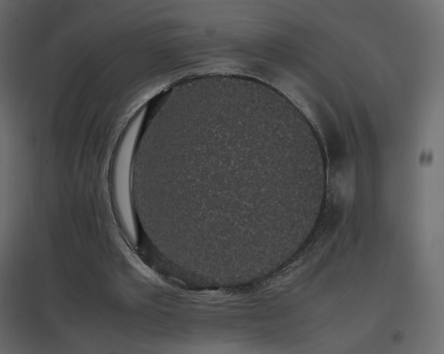 X0000096650389200802051200