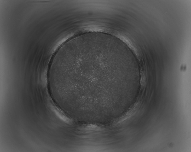 X0000096650390200802051200