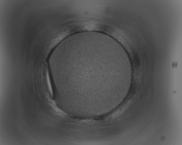 X0000096650393200802051200