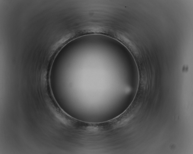 X0000096650394200802051200