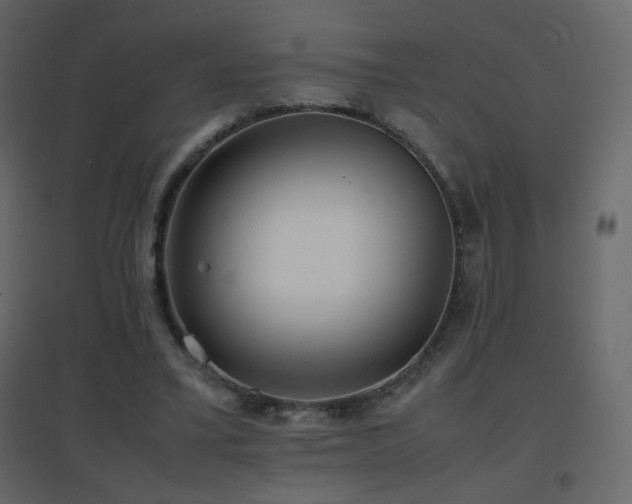 X0000096650395200802051200