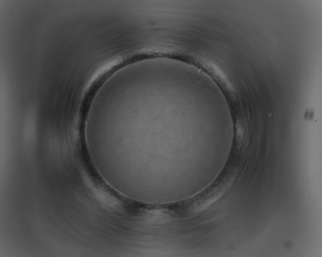X0000096650396200802051200