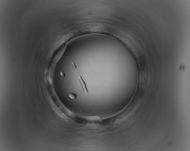 X0000096650397200802051200