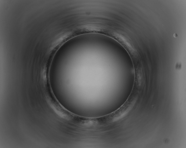 X0000096650398200802051200