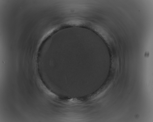 X0000096650399200802051200
