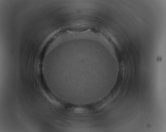 X0000096650400200802051200