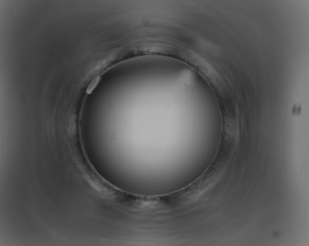 X0000096650401200802051200