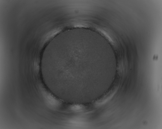 X0000096650402200802051200