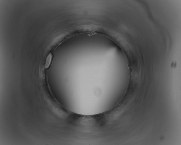 X0000096650403200802051200