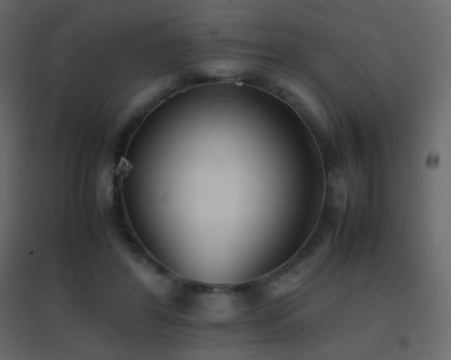 X0000096650404200802051200