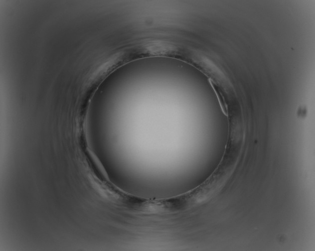 X0000096650405200802051200